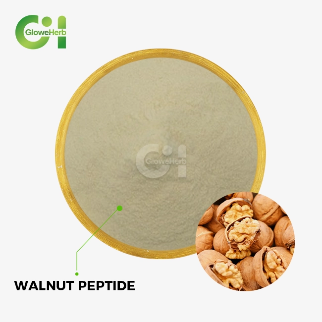 Walnut peptide